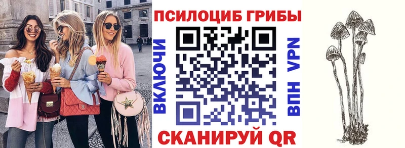 Галлюциногенные грибы Psilocybe Буй